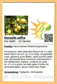 Dovyalis caffra, 10 Samen